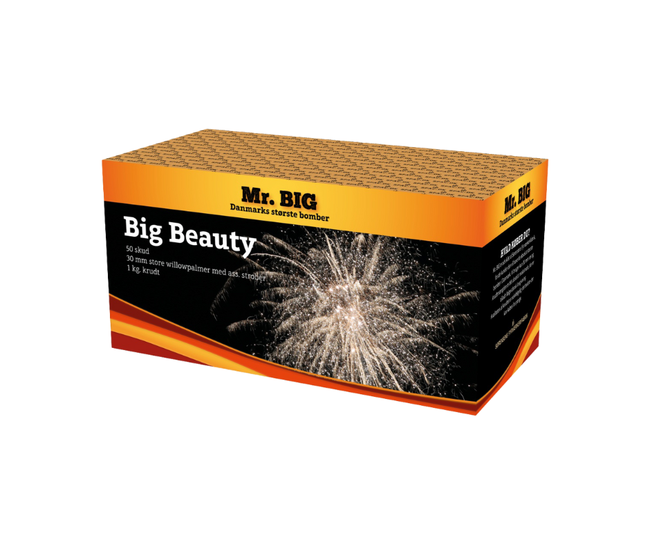 Mr. BIG - BIG BEAUTY