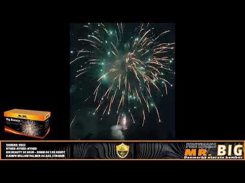 Mr. BIG - BIG BEAUTY