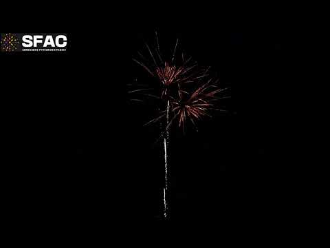 NIGHT VISION - WE DO COLORS